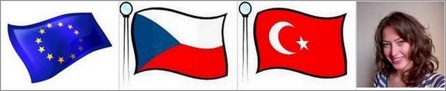 Asistentský pobyt